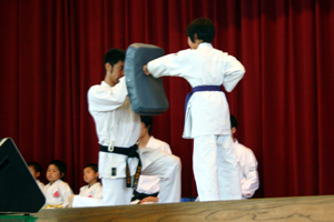 IMAGE07.jpg(68473 byte)