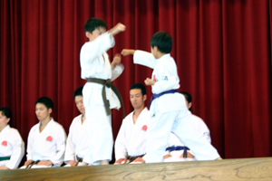 IMAGE08.jpg(72442 byte)