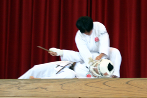 IMAGE11.jpg(63268 byte)