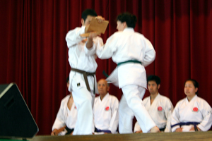 IMAGE15.jpg(69839 byte)