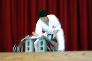 IMAGE16.jpg(60221 byte)